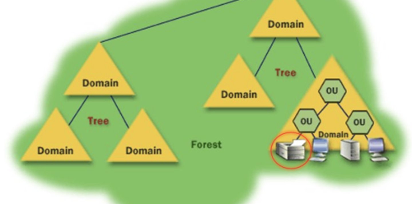 <p>User, group, computer, application, printer, etc.</p>