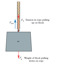 <p>Tension is greater than weight. The net force equals Fₙₑₜ = Fₜ - Fᵍ, which can be rearranged to Fₜ = Fₙₑₜ + Fᵍ. </p>