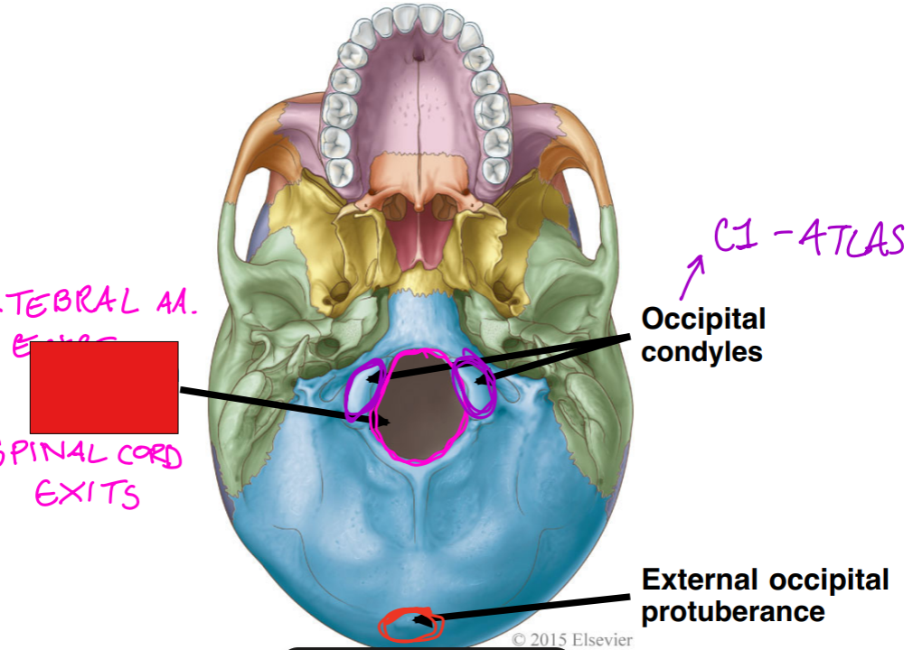 <p>Fill in the red box: </p>