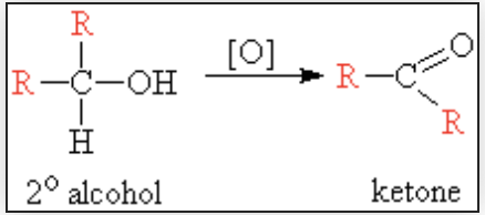 <ul><li><p>functional group bonded to secondary carbon</p></li><li><p>froms a ketone</p></li></ul>