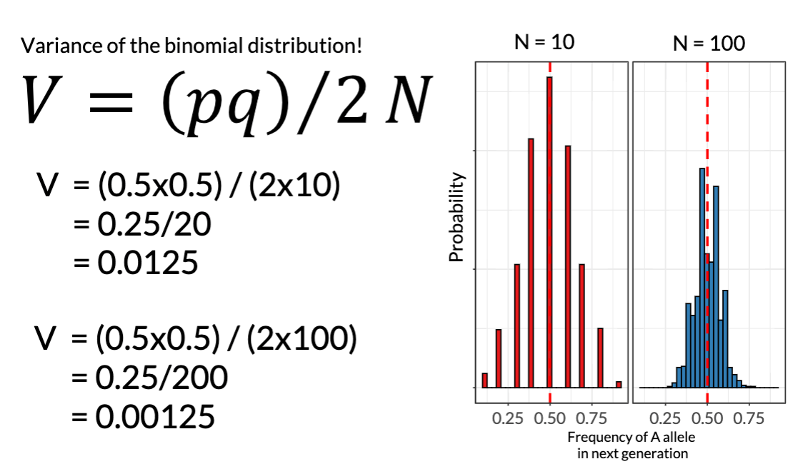 V = (pq) / 2N (variance of the binomial distribution)