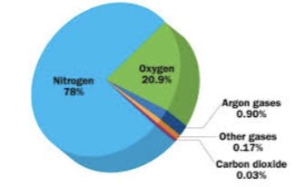 <p><strong><span>The pressure exerted by a single component of a mixture of gases</span></strong></p><ul><li><p><em><u>Directly proportional to its percentage in mixture </u></em></p></li></ul><p></p>