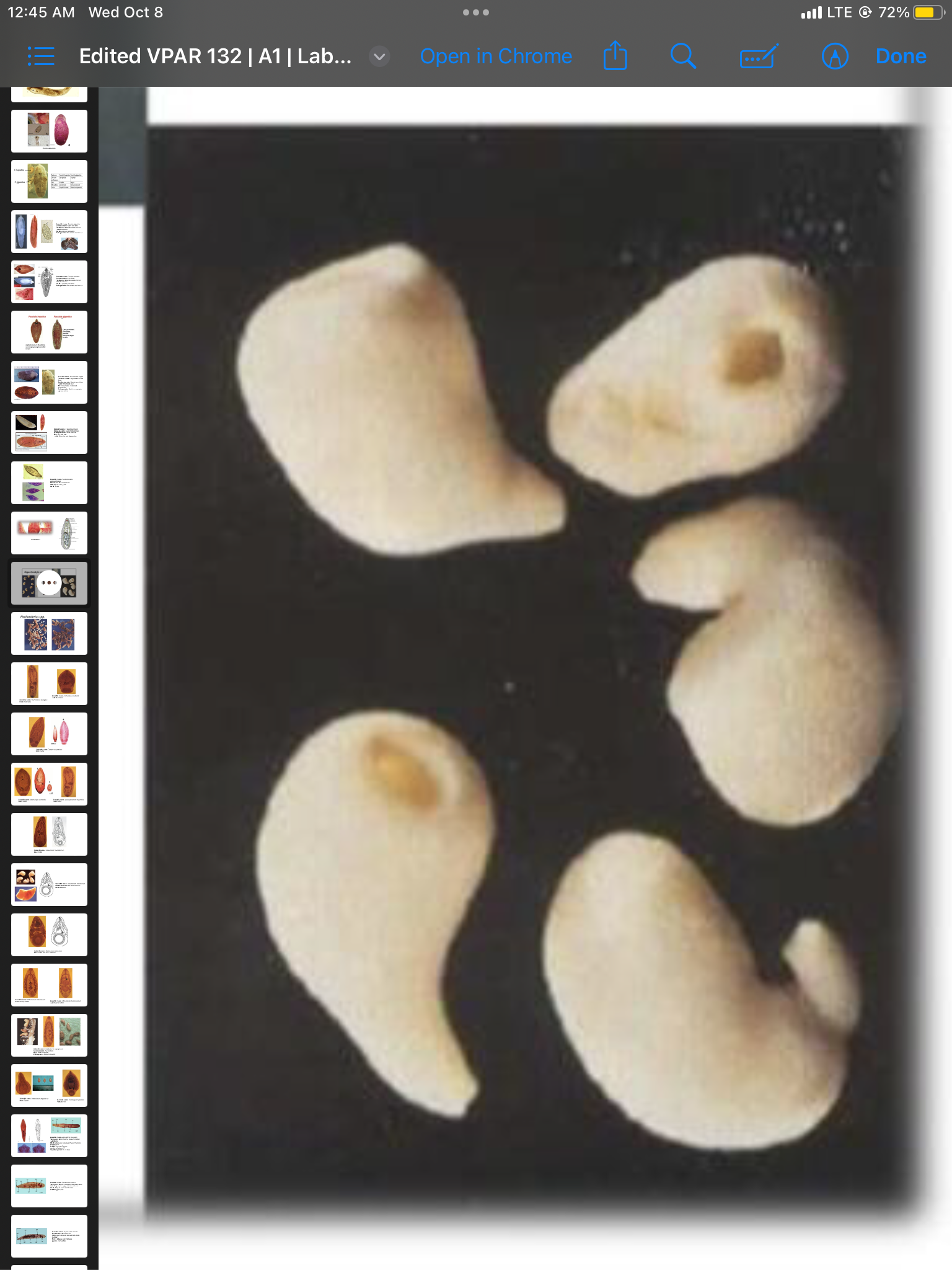 term image
