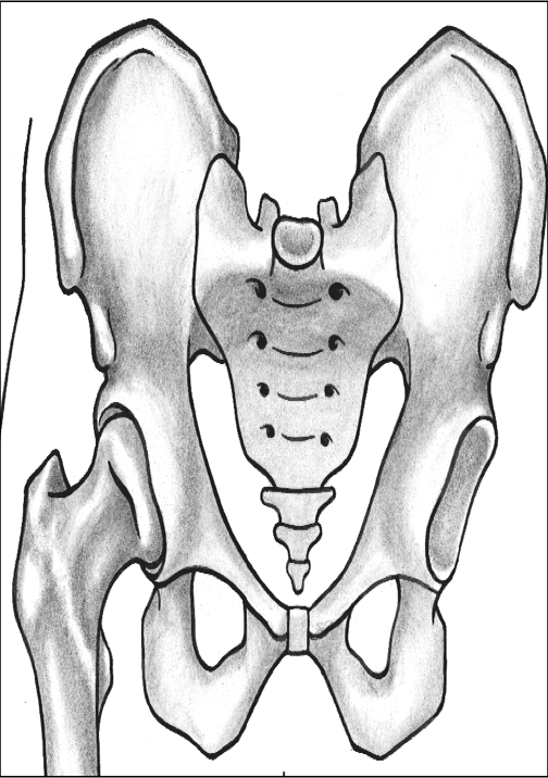<p>what is the sacroiliac (SI) joint</p>