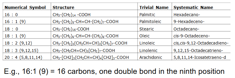 <p>- e.g 16:1 (9) = 16 carbons, one double bond in 9th position</p><p>- we only consider oxidation of even number of C, saturated, long chain FA</p>