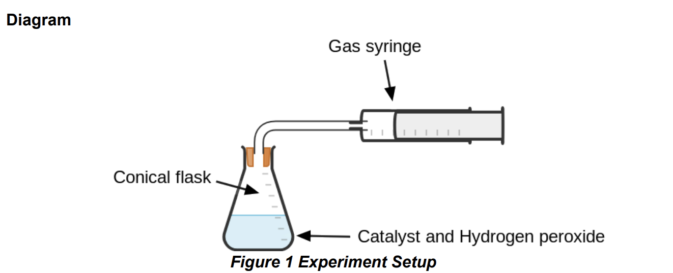 <p>Practical 3.16: Investigate the effect of different solids on the catalytic decomposition of hydrogen peroxide solution</p>