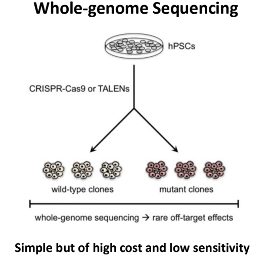 <p>if DSB- will have mutation signatures</p><p>most will be junk sequences so you need to go more specific </p>