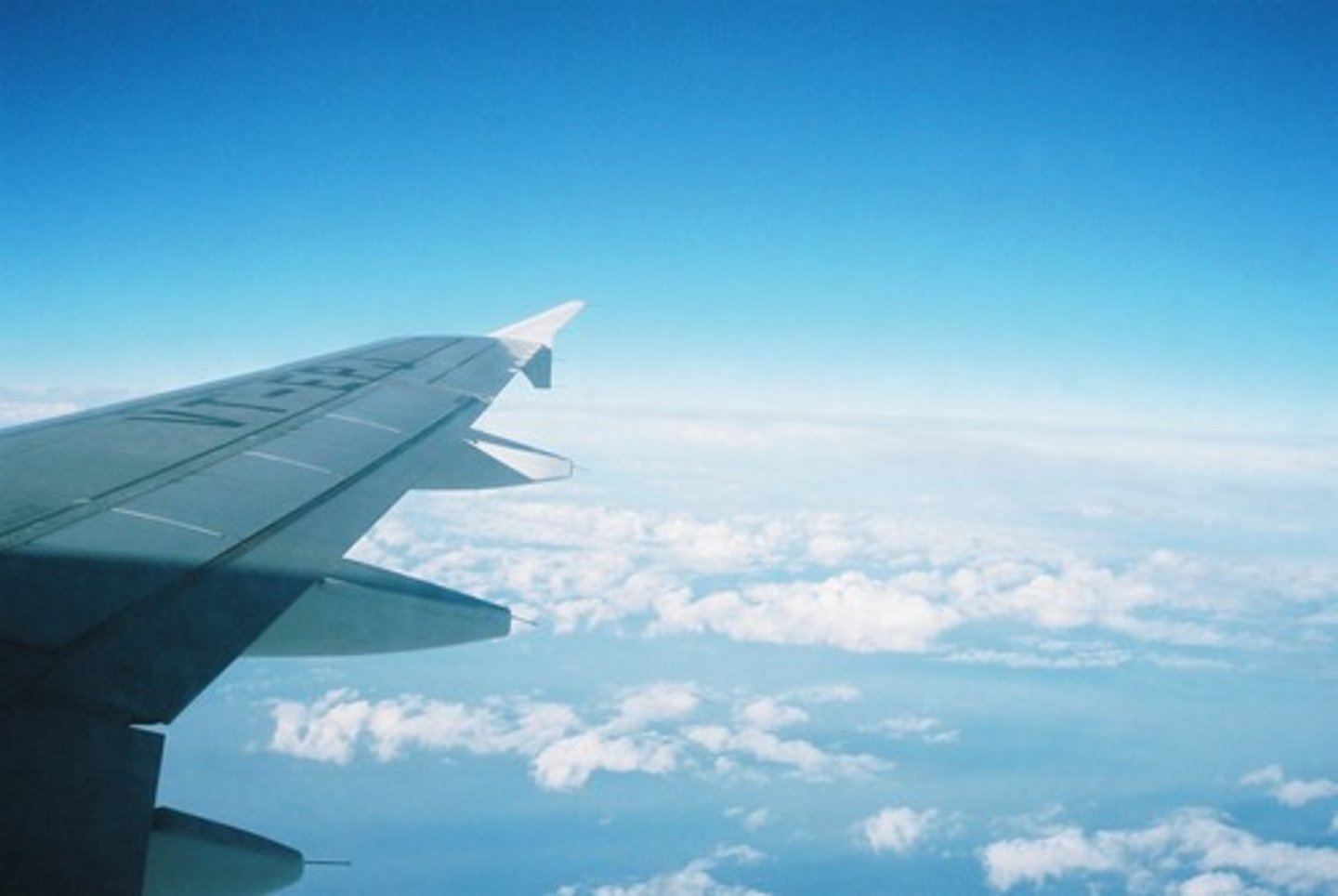 <p>flight</p>