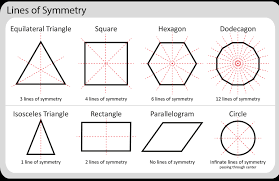 <p>line about which the solid rotates</p>