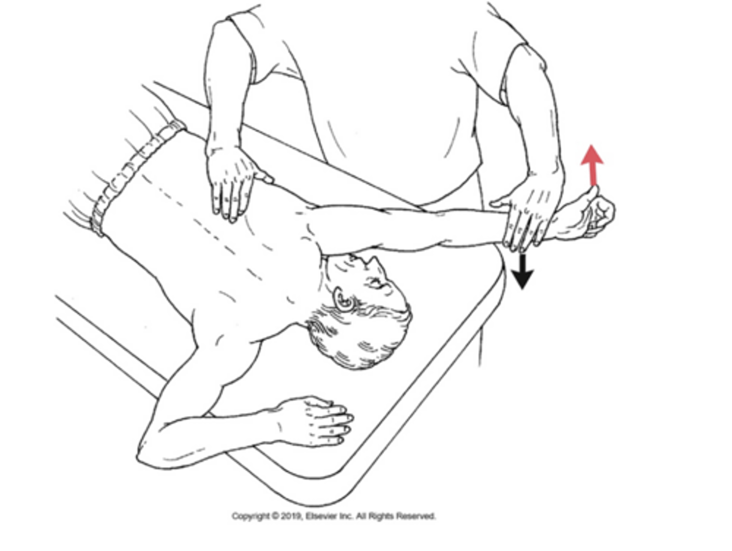 <p>Lower fibers of trapezius, and middle fibers of trapezius</p>