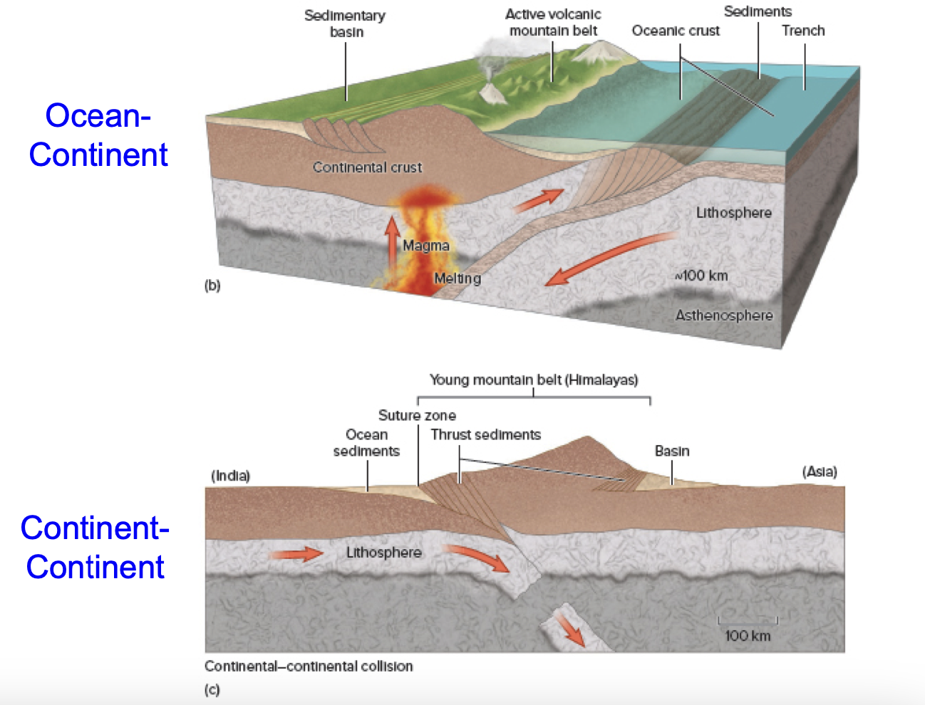 Mountain ranges (ex. Volcanic Andes Mountains along Peru Trench, Himalayas along Asia/India boundary)