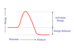 <p>a reaction with a net release of free energy, negative free energy, spontaneous</p>