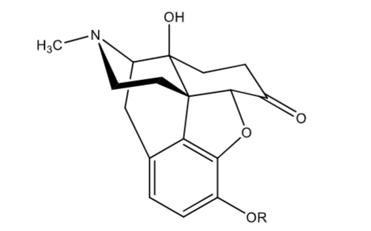 <p>Roxicodone, OxyContin</p><p>1.5-2x potency of morphine</p><p>active itself</p><p>R = CH3</p>