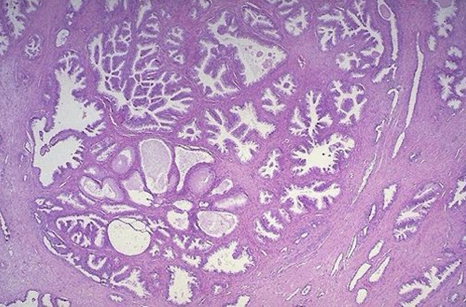 <p>A- identity</p><p>B- Describe</p>