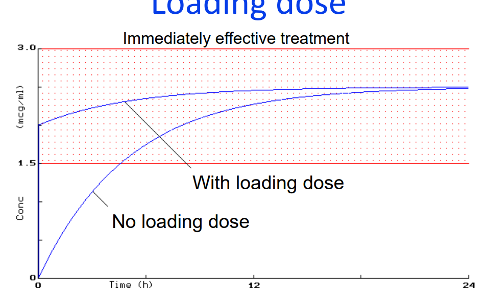 <p>• What is a “Loading dose? </p><p>➢LD is the initial </p><p>➢usually higher dose given </p><p>➢so that therapeutic concentrations are achieved quickly</p><p>In what conditions might a LD be given? </p><p>➢ if the drug has a long elimination half life, eg digoxin, amiodarone </p><p>➢ in acute conditions e.g status asthmaticus, status epilepticus </p><p>➢ in life-threatening arrhythmias, e.g rapid digitalisation. </p><p>• Look up the LD of digoxin and amiodarone in the BNF</p>