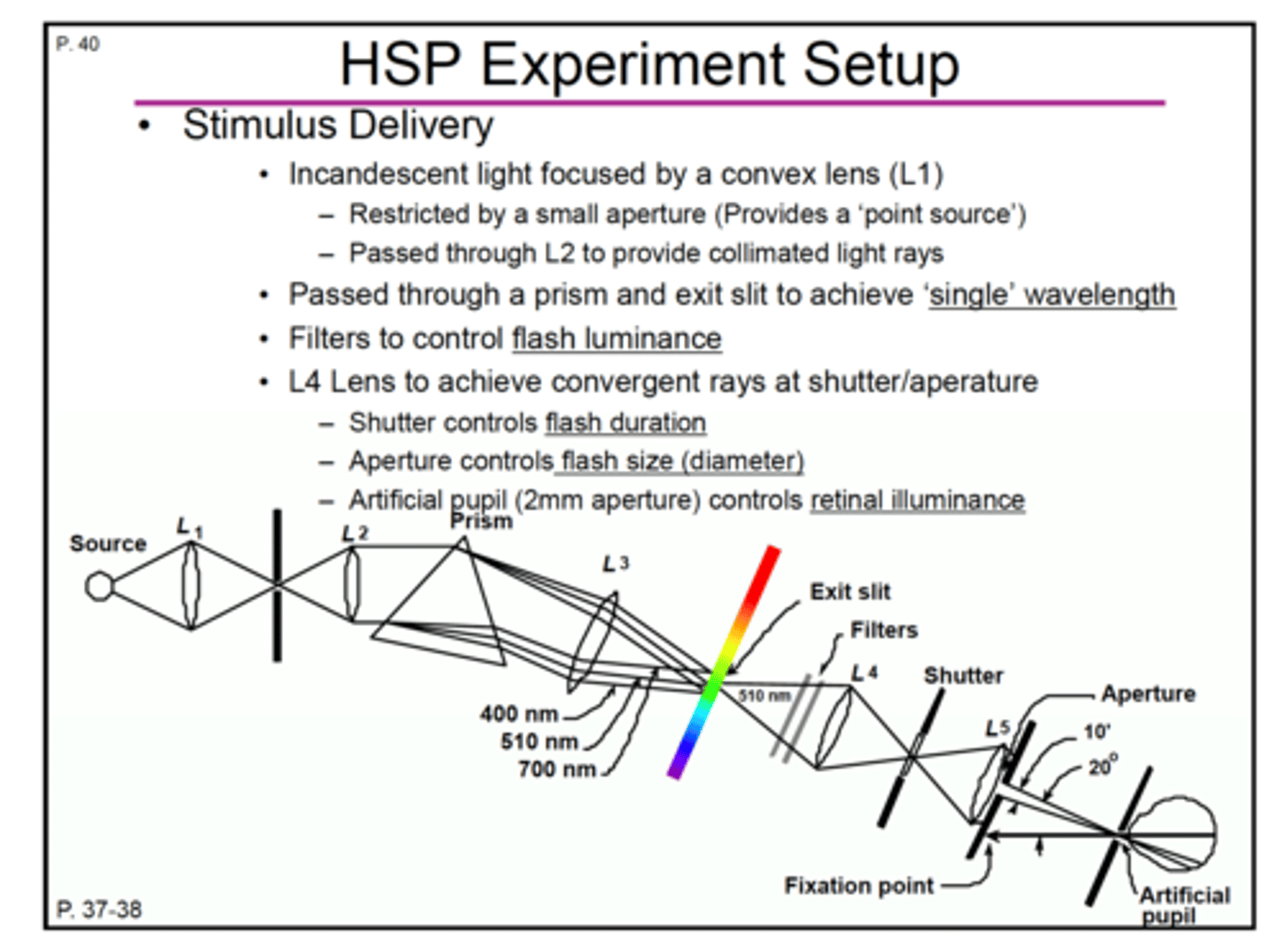 <p>1.prism with exit slit w/ aperture<br>produces one wavelength of 510 nm<br><br>2.optical density filters<br>controls flash luminance <br><br>3.shutter<br>controls the flash duration<br><br>4.aperture <br>controls flash size (diameter)<br><br>5.aperture or artificial pupil of 2 mm <br>controls retinal illuminance</p>