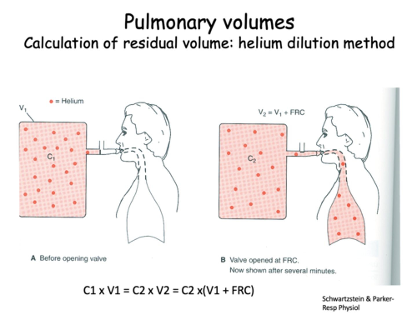 <p>helium dilution method</p>