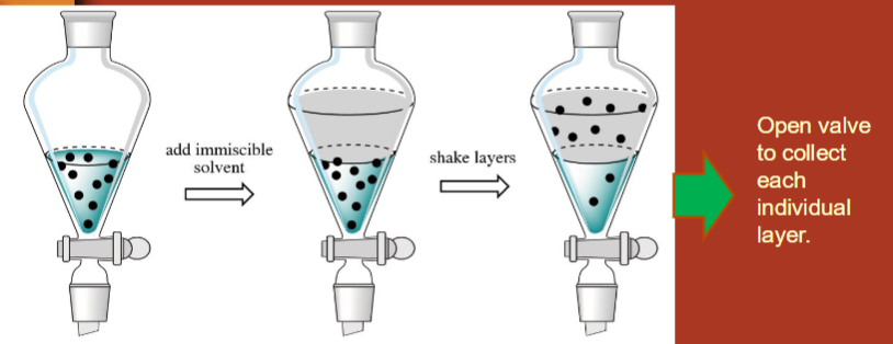 <ul><li><p>top layer = organic solvent</p></li><li><p>bottom layer = aqueous, water is more dense than organic solvents</p></li></ul><p></p>