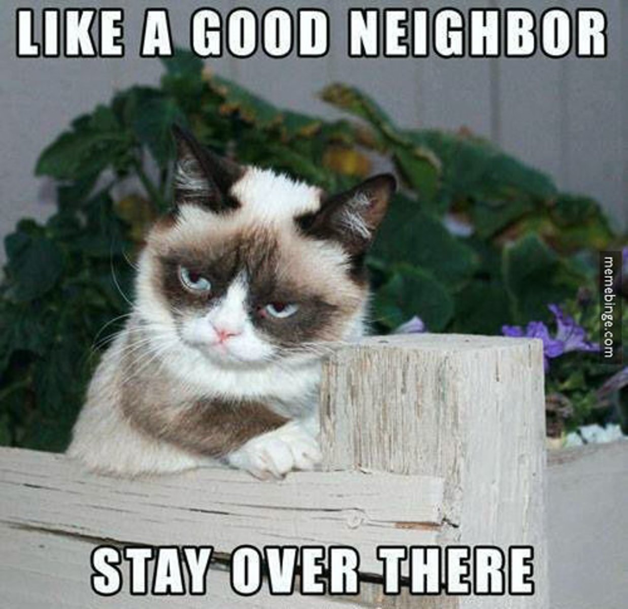 <p>the neighbor</p>