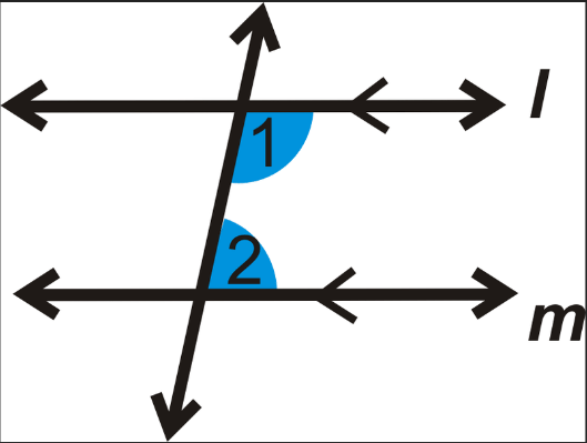 <p>Angles add up to 180<span>°. </span></p>