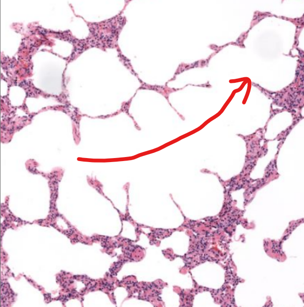 <p>structure</p>