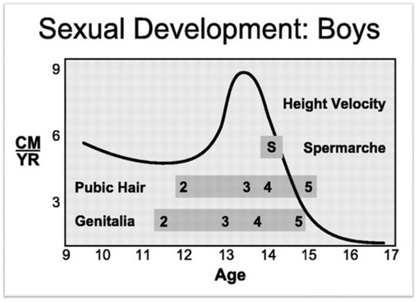 <p>first occurrence of ejaculation</p>