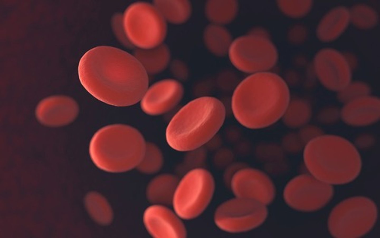 <p>Red blood cells transporting respiratory gases.</p>