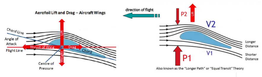 <ul><li><p><span>Aeroplane wings have a specific shape that generate a greater path length on the surface than underneath.</span></p></li><li><p><span>Because airflow is moving at a fixed flow, air molecules will have to go faster on top of wing the wing than below.</span></p></li><li><p><span>Therefore, according to Bernoulli’s principle, pressure underneath the wing must be greater than pressure above the wing if flow is constant</span></p></li><li><p><span>This then generates the lift.</span></p></li></ul>