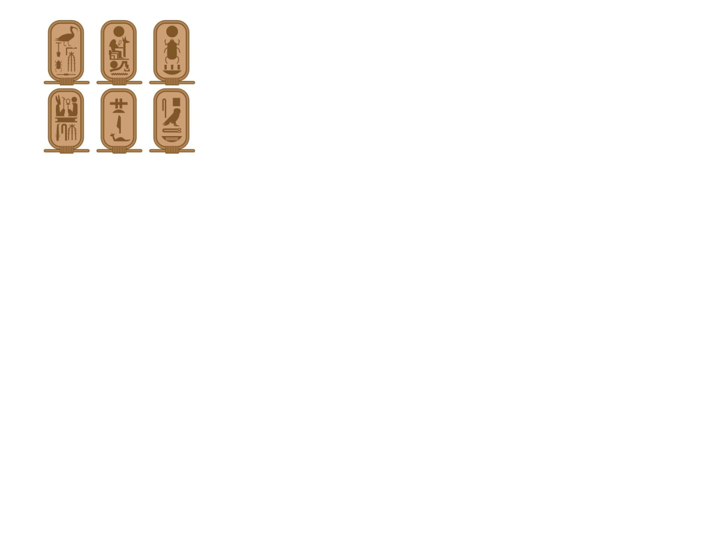 <p>It’s like picture writings (pictograms) on an oval. It usually represents the name of an important person.</p>