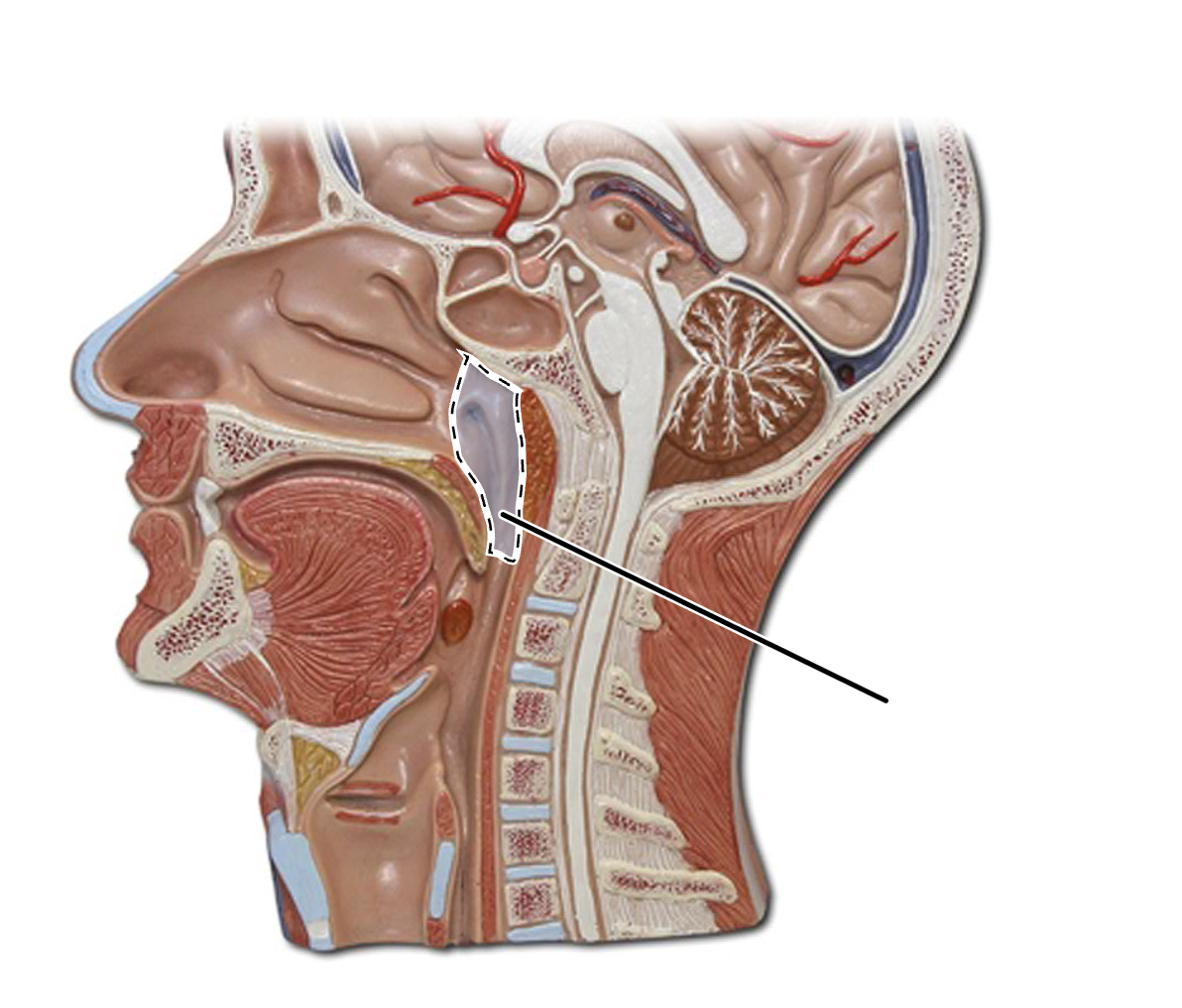 <p>What is this?</p>