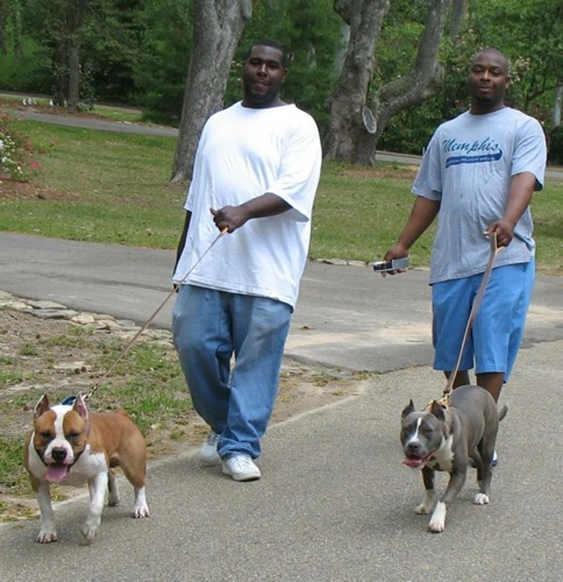 <p>a slow, relaxed walk</p>