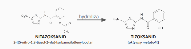 <p>w wyniku redukcji grupy nitrowej powstaja wysoce reaktywne metabolity, które hamują aktywność enzymów, np. okydoreduktazy pirogroniano-ferredoksydowej</p>