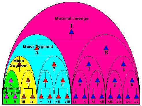 <p>Flashcard: "Segmentary lineage - A social organization system in anthropology where larger kinship groups are divided into smaller segments based on descent. Each segment has its own leader and functions independently, but can come together for collective action or defense."</p>