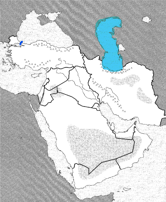 <p>Physical</p>