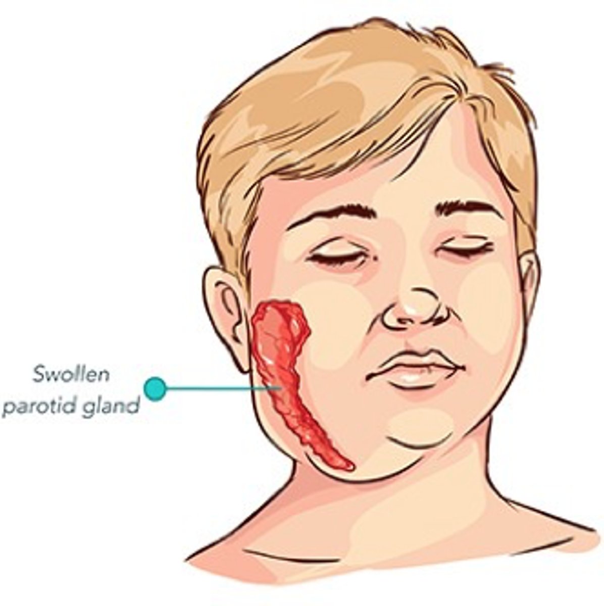 <p>Inhalation or contact with oropharyngeal secretions</p>