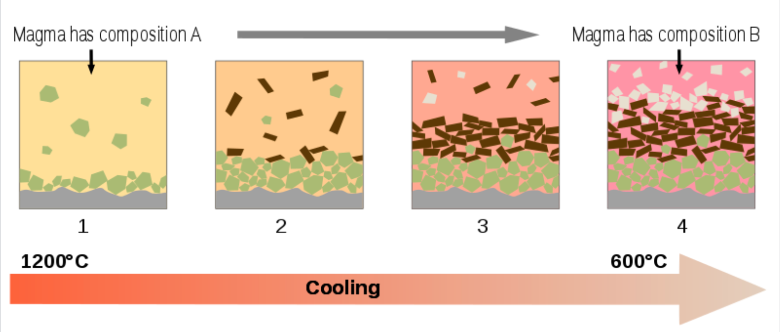 <p>the process by which a magma becomes progressively more silicic as it cools, because early-formed crystals settle out -the removal and segregation from a melt of mineral precipitates</p>