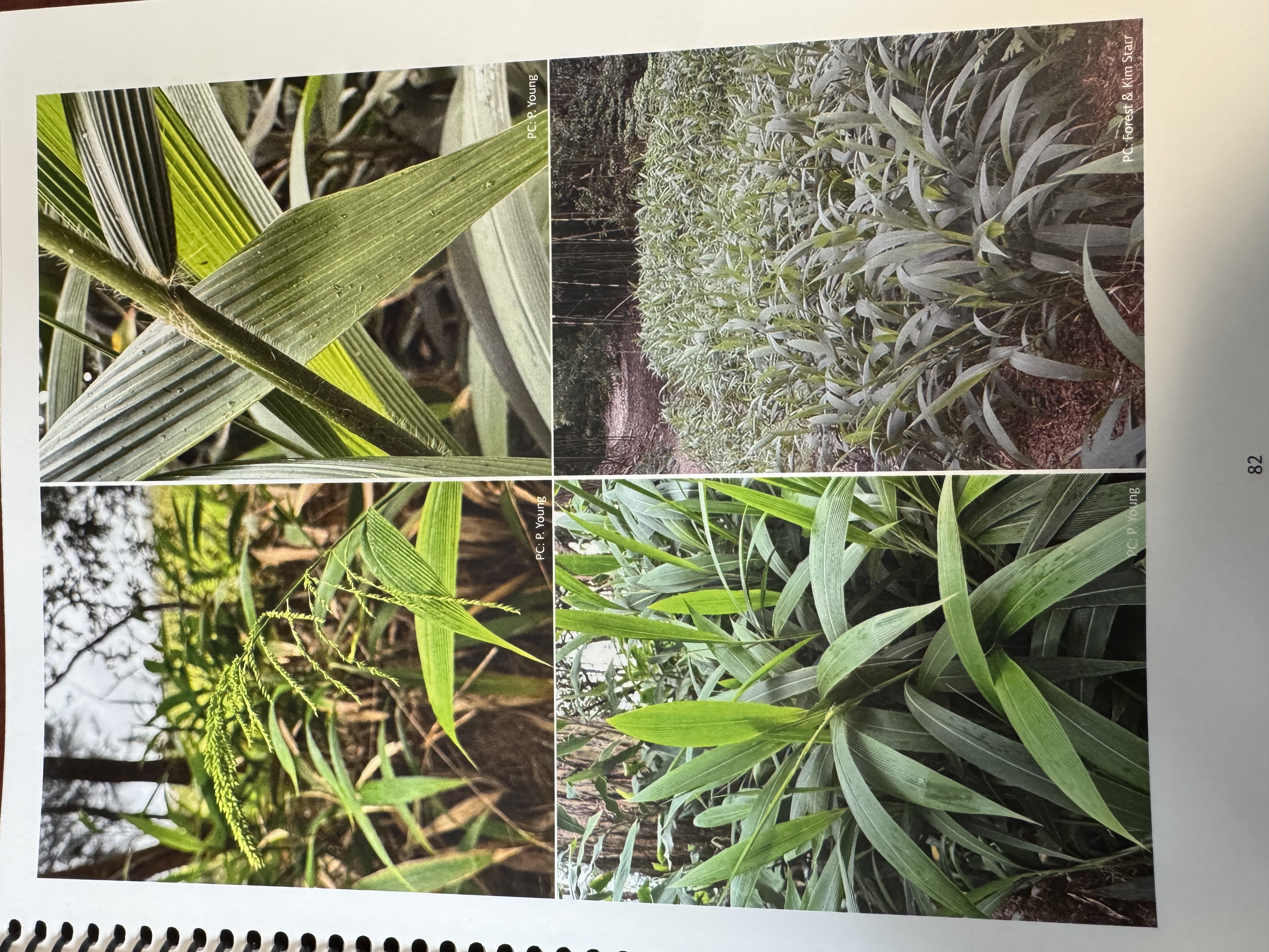 <img src="blob:null/59f7731d-f95a-434b-9fc0-c1147b958383"><p></p>