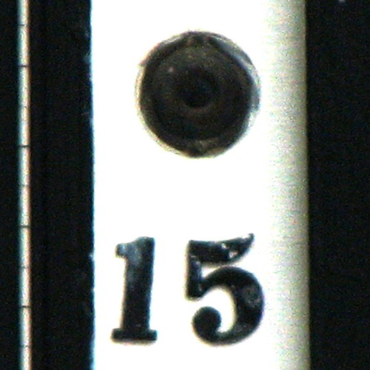 <p>15</p>