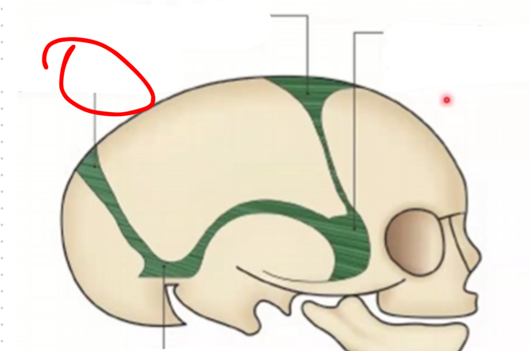 <p></p>