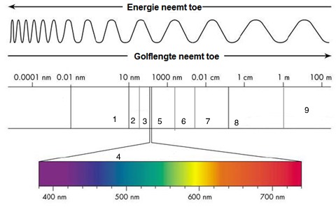 <p>Gebieden op het lichtspectrum</p>