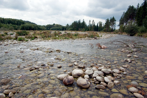 the sediment carried along the bed (bottom) of the river