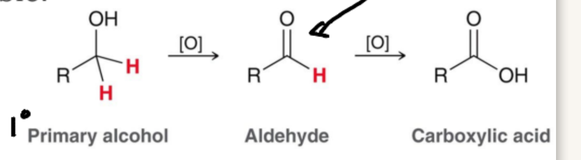 <p>Aldehydes and Carboxylic acids</p>