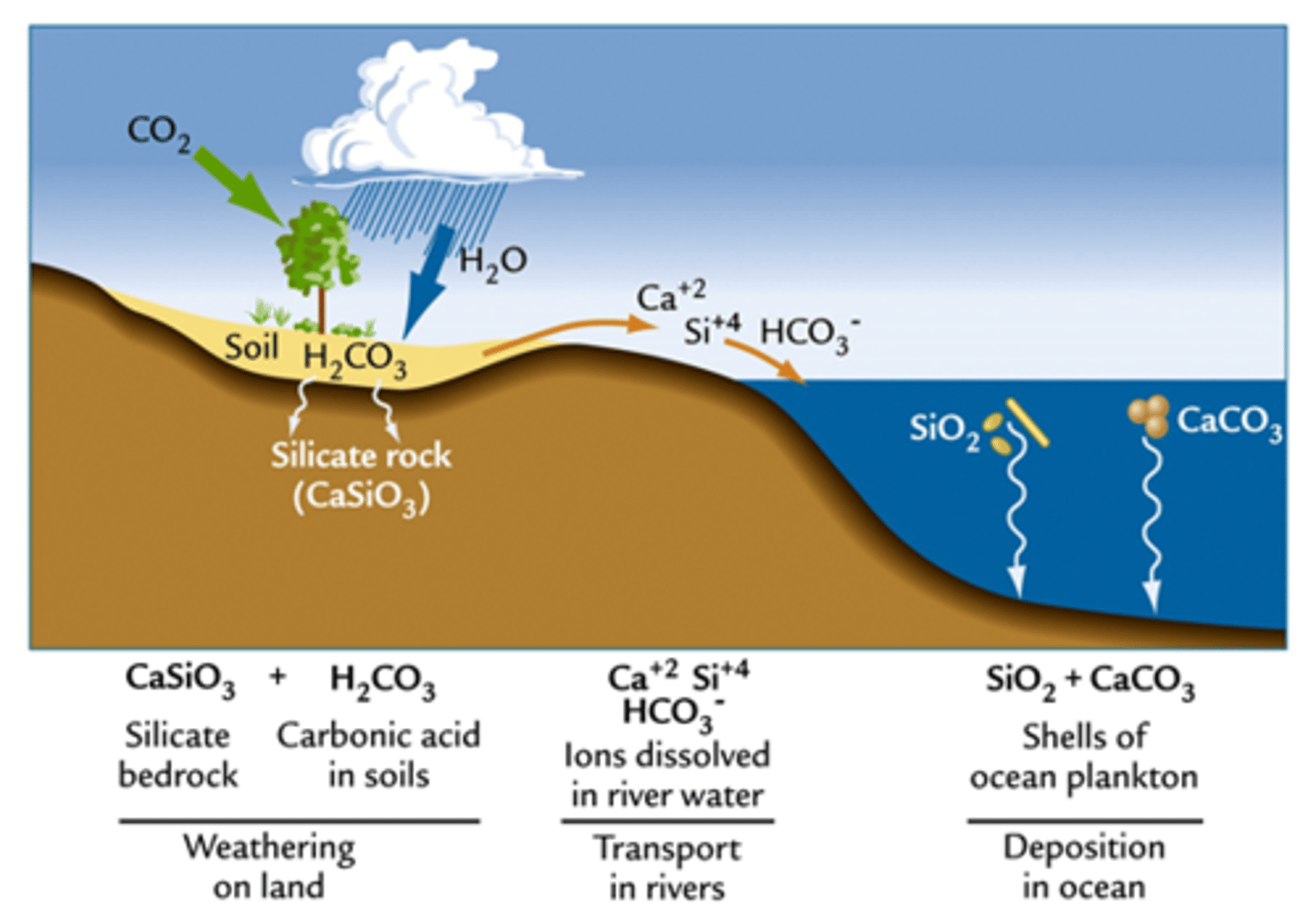 <p>on tectonic timescales geology controls climate through changes in atmospheric CO2</p><p>weathering increases CO2 - supplies nutrients to oceans to stimulate productivity</p>