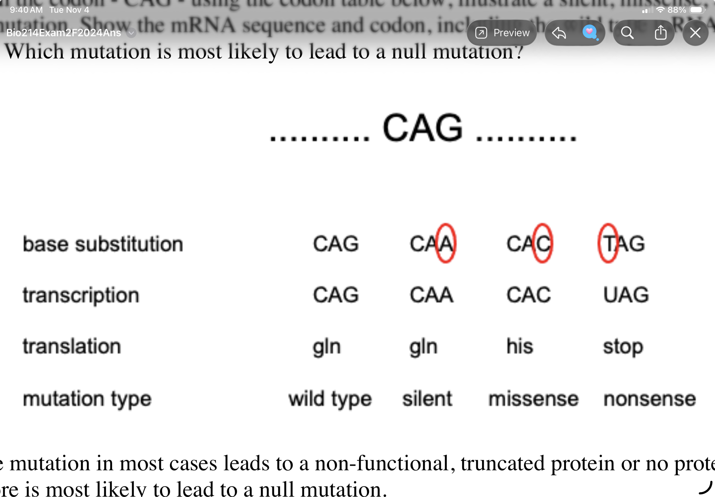 <p><span> Start with the codon - CAG - using the codon table below, illustrate a silent, missense, and</span></p><p class="p1"><span>nonsense mutation. Show the mRNA sequence and codon, including the wild type mRNA sequence</span></p><p class="p1"><span>and codon. Which mutation is most likely to lead to a null mutation?</span></p><p class="p1"></p>