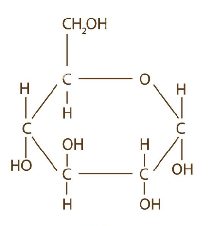 <p>C6 H12 O6 (OH down)</p>