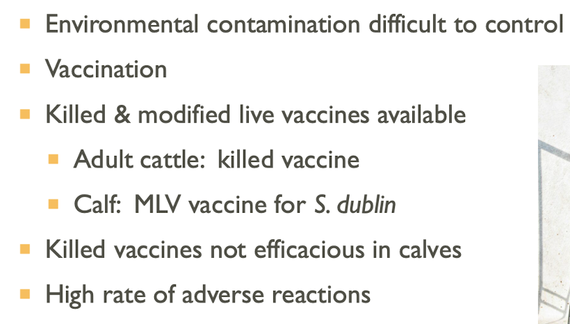 <p>Killed and modified live vaccines.</p>