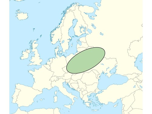 <p>vast area of flat or gently rolling land from France to Russia</p>
