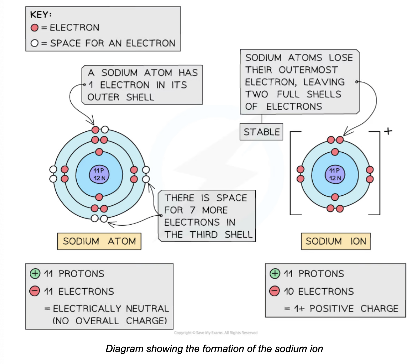 <p><span>All metals lose electrons to other atoms to become positively charged ions</span></p>