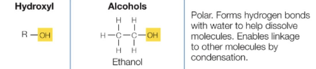 <p>OH, polar, partially negative</p>