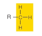<p>What functional group is this?</p>